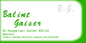 balint gaiser business card